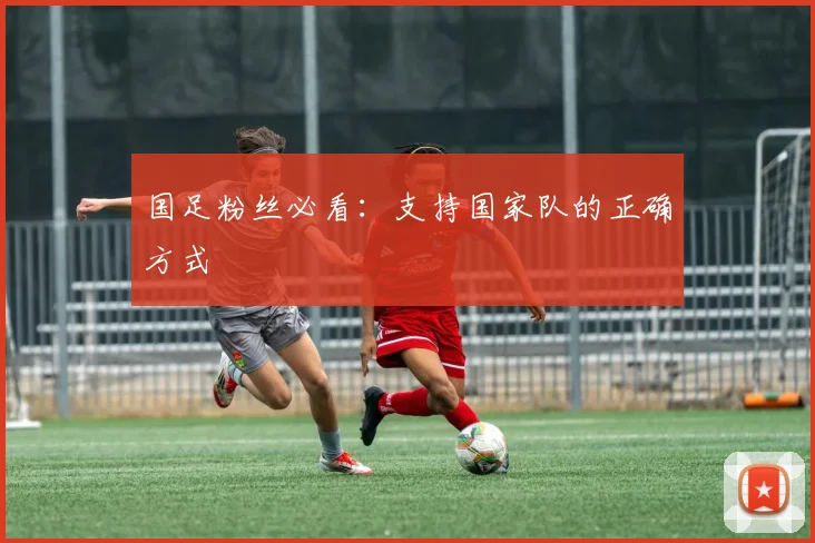 国足粉丝必看：支持国家队的正确方式