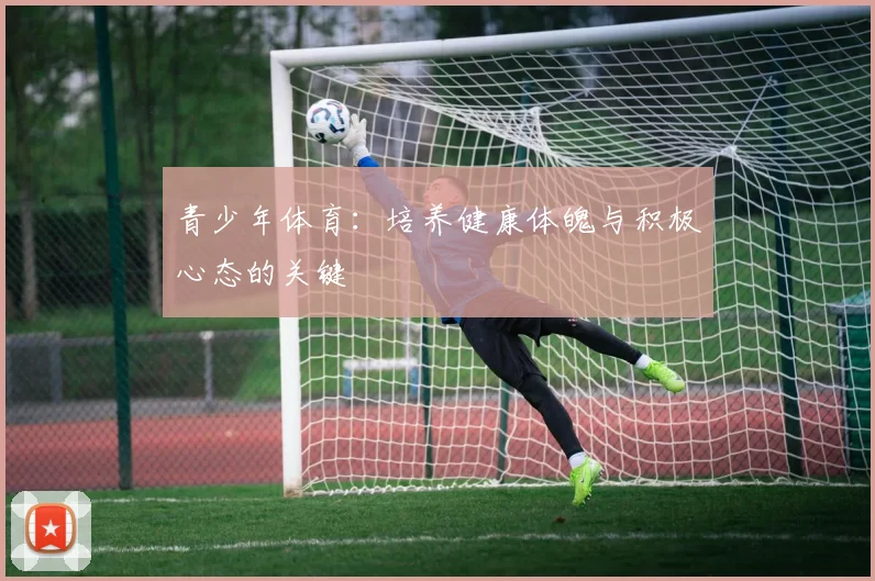 青少年体育：培养健康体魄与积极心态的关键